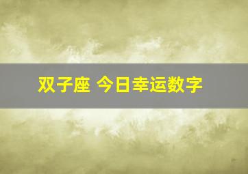 双子座 今日幸运数字